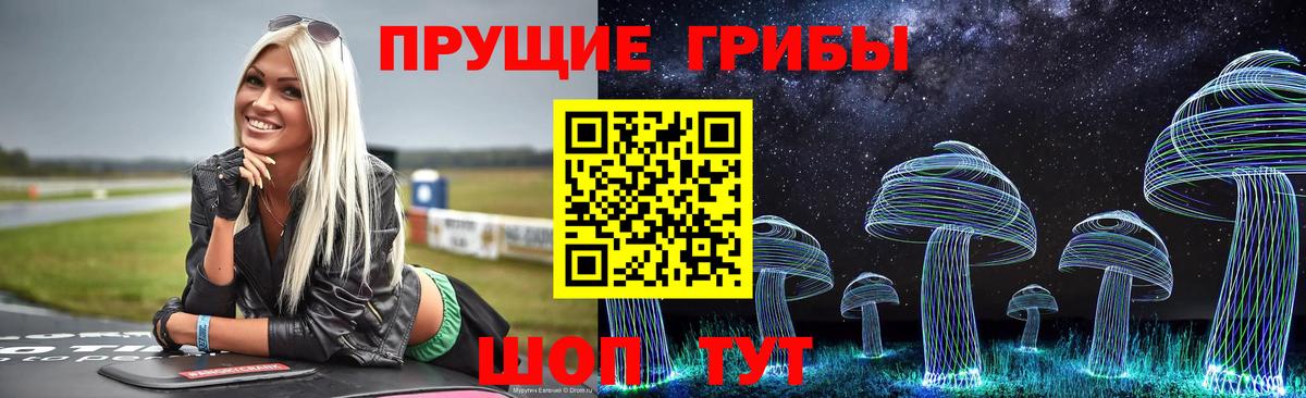 Гай  Псилоцибиновые грибы Cubensis  Вход с VPN 
