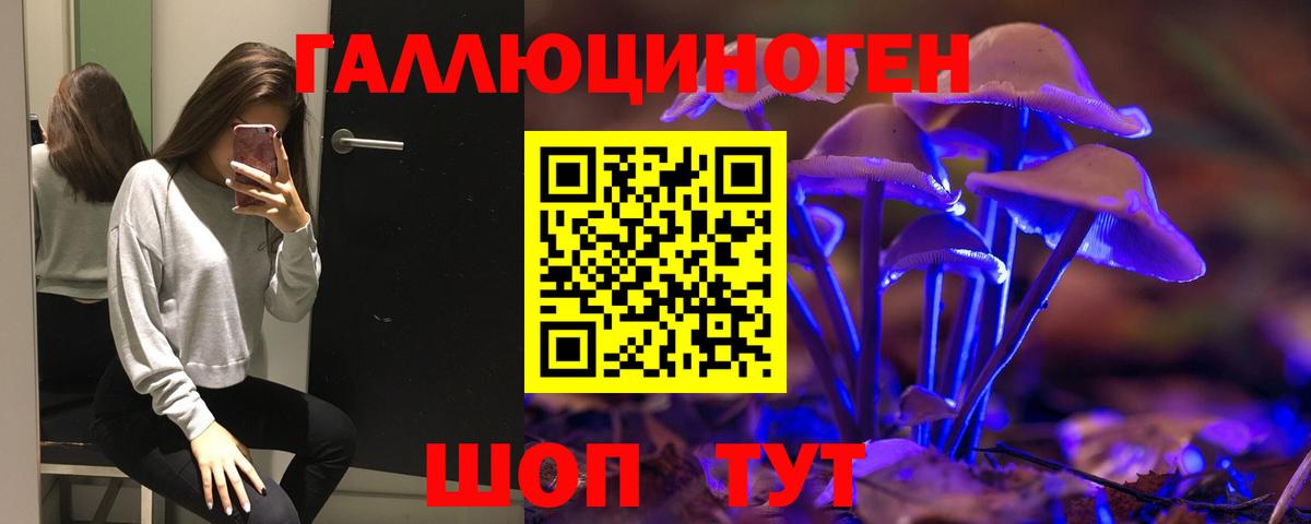 Галлюциногенные грибы Psilocybine cubensis Гай