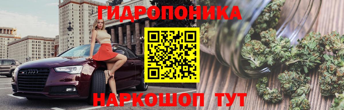 МАРИХУАНА OG Kush Гай