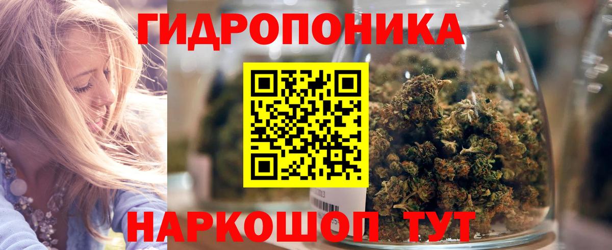 Шишки марихуана MAZAR  Шишки марихуана план  Гай  Вход с VPN  Конопля AK-47 